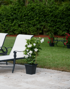 Sundaville® white