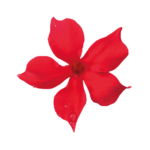 Sundaville® scarlet