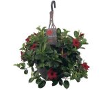 Sundaville® Red 26cm (hangpot)