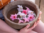 How to care for a Sundaville®