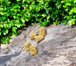 Sundaville® #1 Mandevilla / Dipladenia