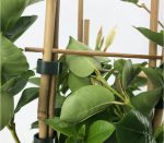 Climbing set for Sundaville® - Image 4