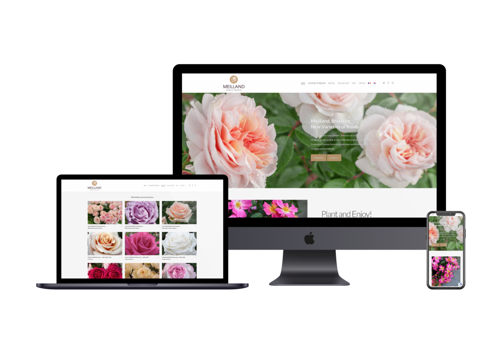 meilland.com