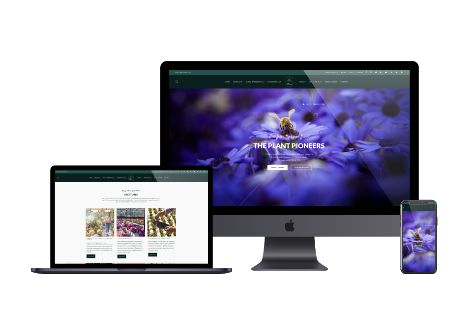 MNP / Suntory - Website - mnpflowers.com