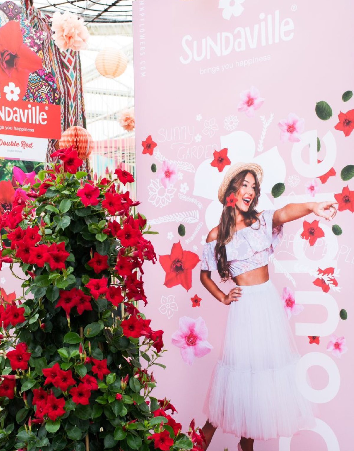 Sundaville® Double Red Sundaville® Double Red - Afbeelding 5